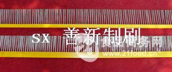 善新刷產品 善新刷產品圖片 善新刷怎么樣 最新善新刷產品展示